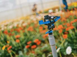 Unieke mbo-opleiding voor mensen met licht verstandelijke beperking