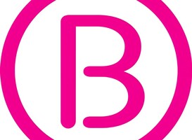 'Vragenlijst Borstkankervereniging goed om risico's eierstokkanker op te sporen'