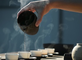 Ayahuascadealers veroordeeld na dodelijke theeceremonie