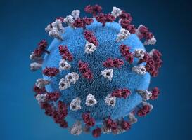 Onderzoek bevestigt dat corona-uitbraak begon op dierenmarkt Wuhan