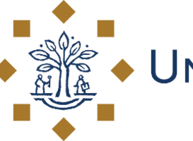 Robbert Gobbens nu bijzonder hoogleraar verpleging ouderenzorg