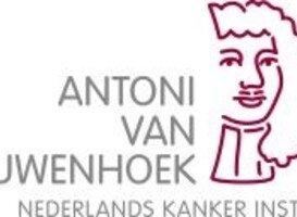 Immuuntherapie voorafgaand aan operatie darmkanker buitengewoon effectief