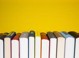 Psycholoog Van Bedaf lanceert boek over (her)ontwikkelen gevoelsleven