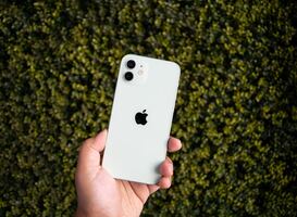 Nederland verbiedt iPhone 12 met te hoge elektromagnetische straling niet